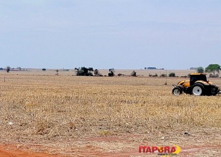 MS registra o maior crescimento do agro no país