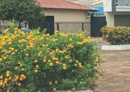 Sábado de sol e calor em Itaporã; confira a previsão completa para o fim de semana