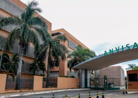 Anvisa atualiza limites de cúrcuma em suplementos alimentares