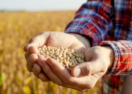 Mato Grosso do Sul registra alta de 59% nas exportações de soja em abril