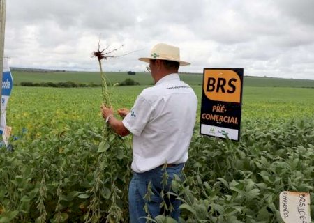 Reforma pode reduzir em 71% carga tribut&aacute;ria de produtores de soja e milho de MS
