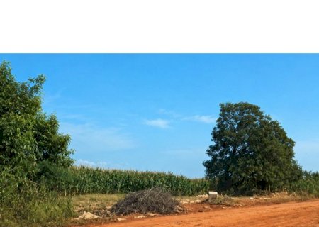 Zé Teixeira articula pavimentação em Dourados e mais saneamento em Laguna Carapã