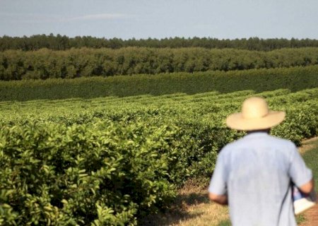 Senado aprova projeto que renegocia d&iacute;vidas de produtores rurais