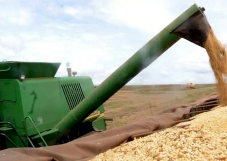 MS dispara no agronegócio e registra 2º maior crescimento entre principais estados produtores do país