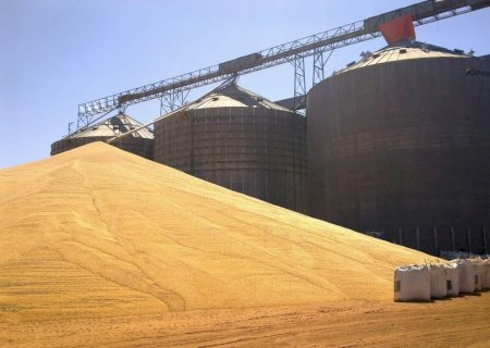 Soja parada, armazém lotado e produtor sem margem