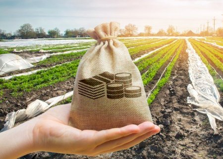 Crédito rural eleva demanda por proteção