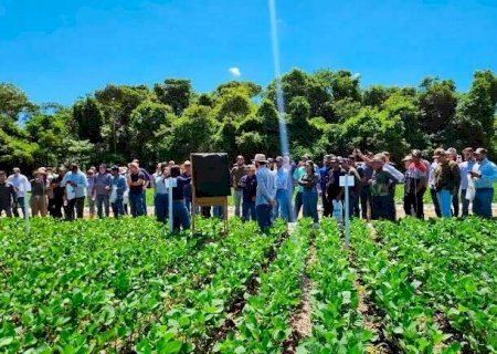 Com fundo de R$ 150 milh&otilde;es, MS cria polo de inova&ccedil;&atilde;o para o agro