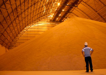 Alta nas cotações da soja melhora cenário para comercialização em Mato Grosso do Sul, aponta Boletim da Famasul