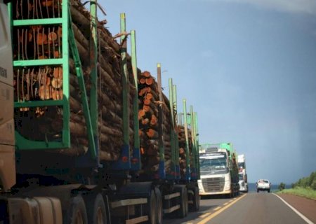 Com investimentos, integração e planejamento, MS prepara logística para futuro promissor