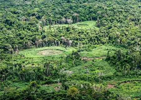 Amazônia: indígenas catalogam espécies para proteger biodiversidade