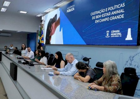 Câmara cobra prefeitura por meta de castração de cães e gatos imposta por lei