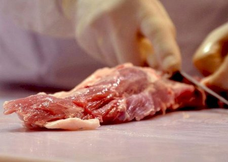 Exportações de carne bovina crescem 47,9% e se aproximam da celulose em MS