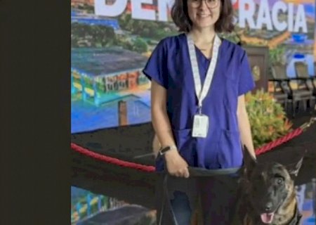 Morre veterinária atacada por cachorro no canil do Senado Federal