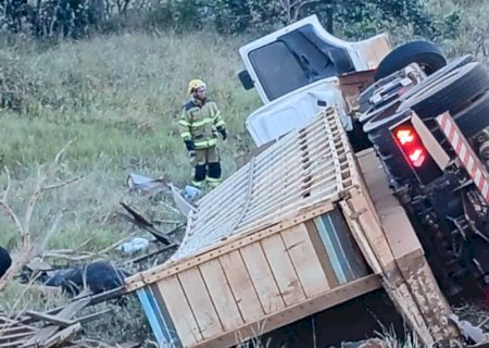 Caminhão com gado tomba e motorista morre na GO-050