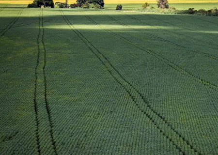 Senado aprova plano para fabricação de fertilizantes no Brasil