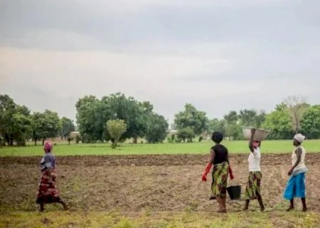 Grande Muralha Verde restaura 1,66 milhão de hectares na África