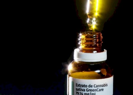 Autorizações para importação de cannabis aumentam 29% em 2026