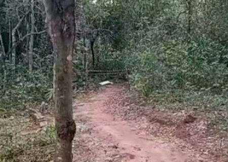 Jovem de 23 anos &eacute; encontrado morto em bosque municipal de Itaquira&iacute;