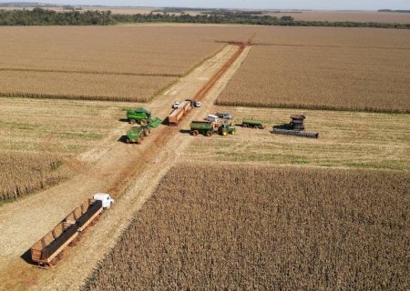 Novo seguro rural pode ampliar proteção ao produtor de soja e milho