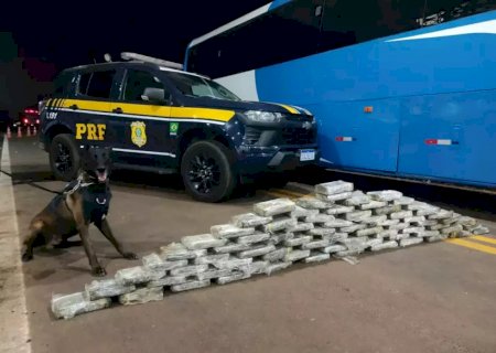 Operação prende 28 bolivianos com 235 quilos de cocaína no estômago