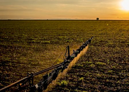 Seguro rural: novas regras ampliam cobertura e proteção ao produtor