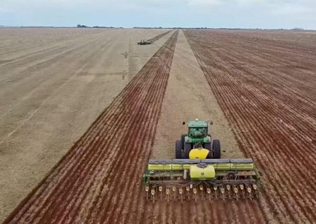 Itaporã: Vazio sanitário da soja termina nesta terça-feira, dia 15