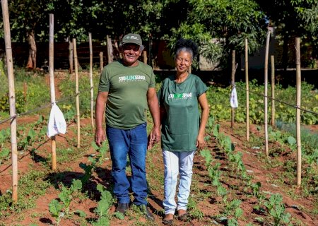 Senar/MS ajuda casal de produtores a abandonar o fiado e recuperar a renda da horta