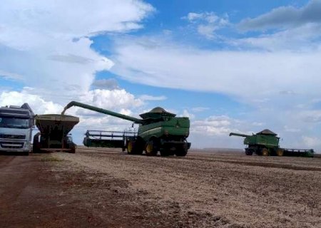 Cr&eacute;dito rural cai 20% em MS e d&iacute;vidas j&aacute; somam R$ 12,8 bilh&otilde;es no campo