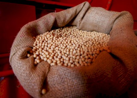 Soja e milho recuam na semana, mas pre&ccedil;os de venda superam os de 2025