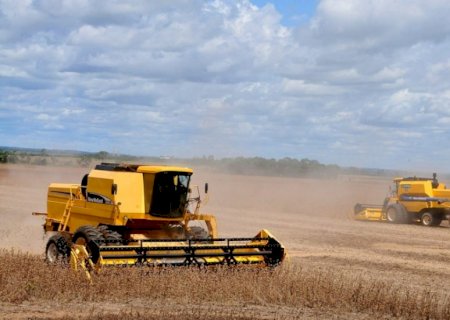 Sidrolândia tem dois casos de recuperação judicial no agro, com dívidas de R$ 43,8 milhões