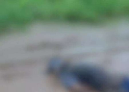 Homem morre ap&oacute;s sofrer convuls&atilde;o e ficar com rosto submerso na lama