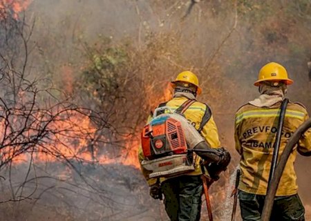 Fiocruz analisa impacto das queimadas na saúde indígena no Amazonas
