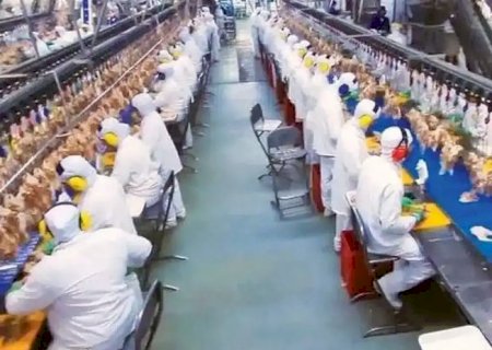 Carne e soja puxam alta dos pre&ccedil;os industriais e acendem alerta em MS